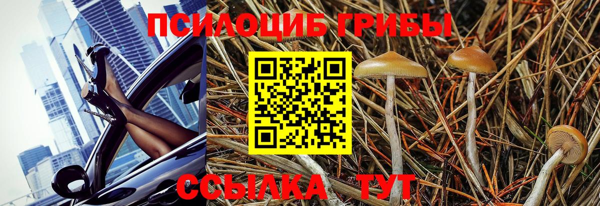 Галлюциногенные грибы MAGIC MUSHROOMS  Вход с VPN  Свободный 